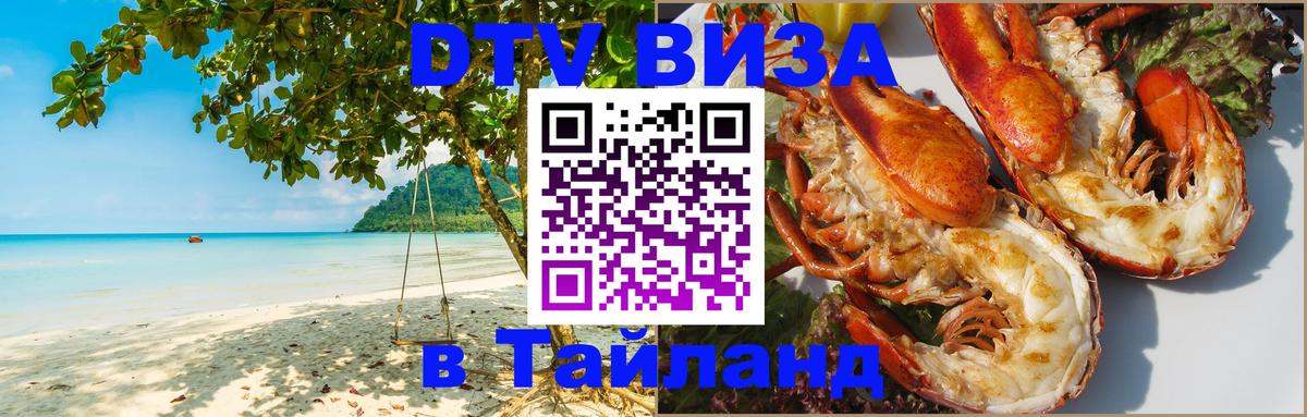 Оформление DTV визы под ключ: стоимость и тарифы, только загранпаспорт - 